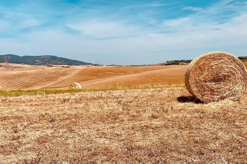Vacanze Sulle Colline Toscane Ad Un Passo Dal Mare Orciano Pisano Exterior foto